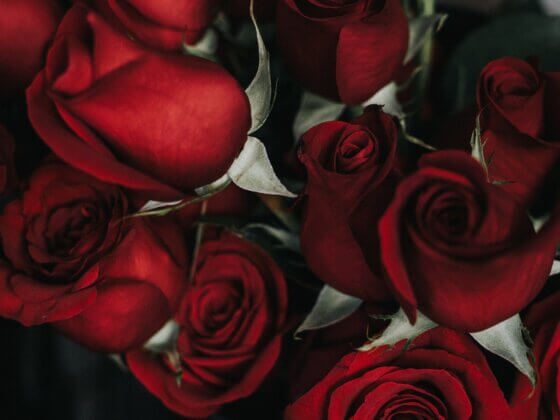 Divine Union Is Your Original Design