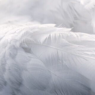 The Experiences Behind Supernatural Faith