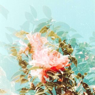 The Burning Star of Bliss