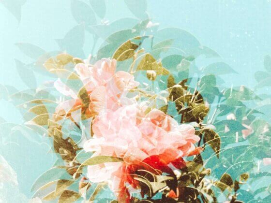 Life in Your Organic Timeline Is…