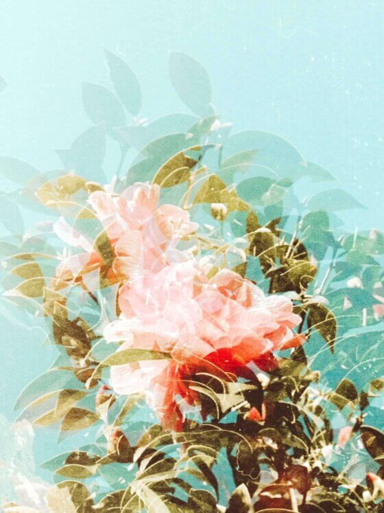 Life in Your Organic Timeline Is…