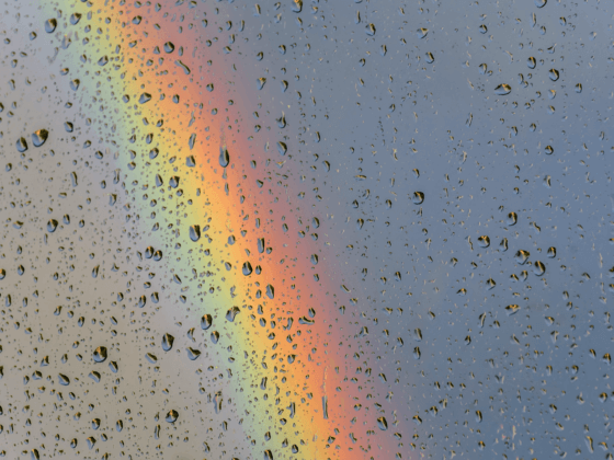 My First Tear-Free Year