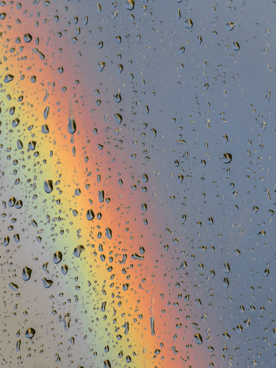 My First Tear-Free Year