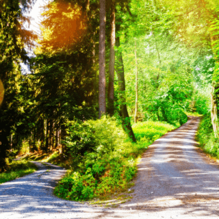 Kingdom Forecast 2024: The Year of the Co-Creator