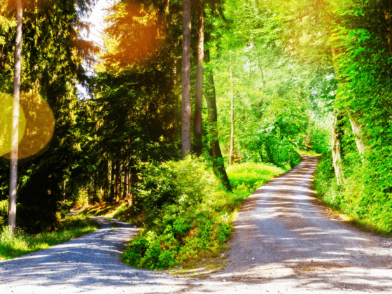 The Difference Between Tangible Shifts and Timeline Shifts