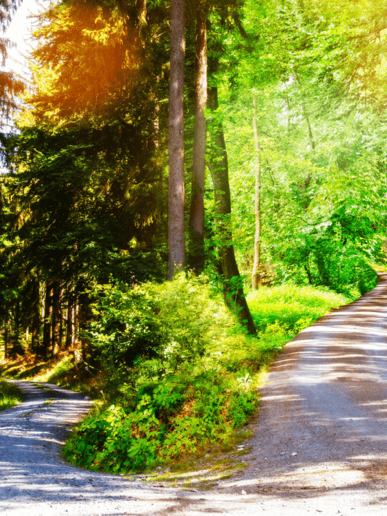 The Difference Between Tangible Shifts and Timeline Shifts