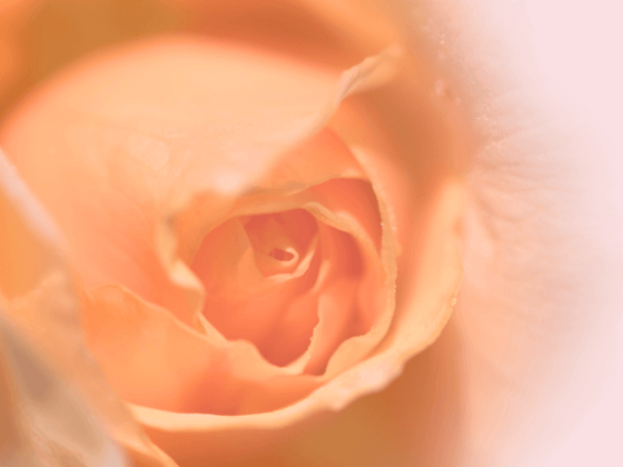 Feminine Business and Birthing a Movement