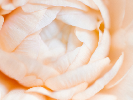 Co-Creating Life From Your Devotional Feminine Design