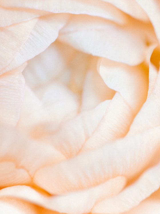 Co-Creating Life From Your Devotional Feminine Design