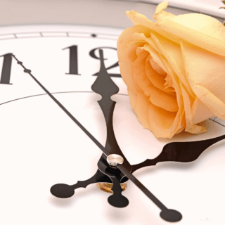 Your Highest Holiday Season in the Kingdom Timelines