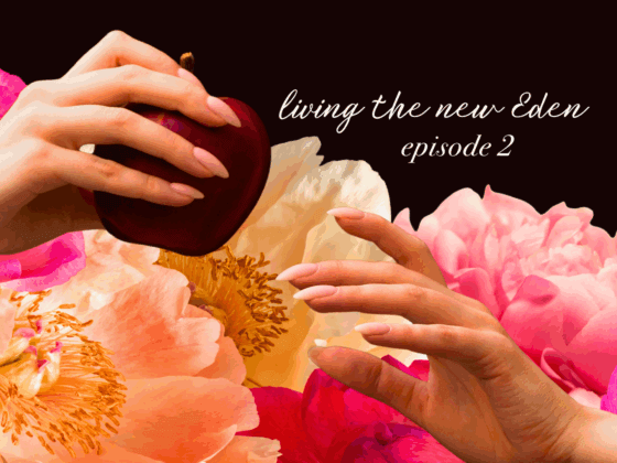 The Miracle That Led Me into a Miraculous Life