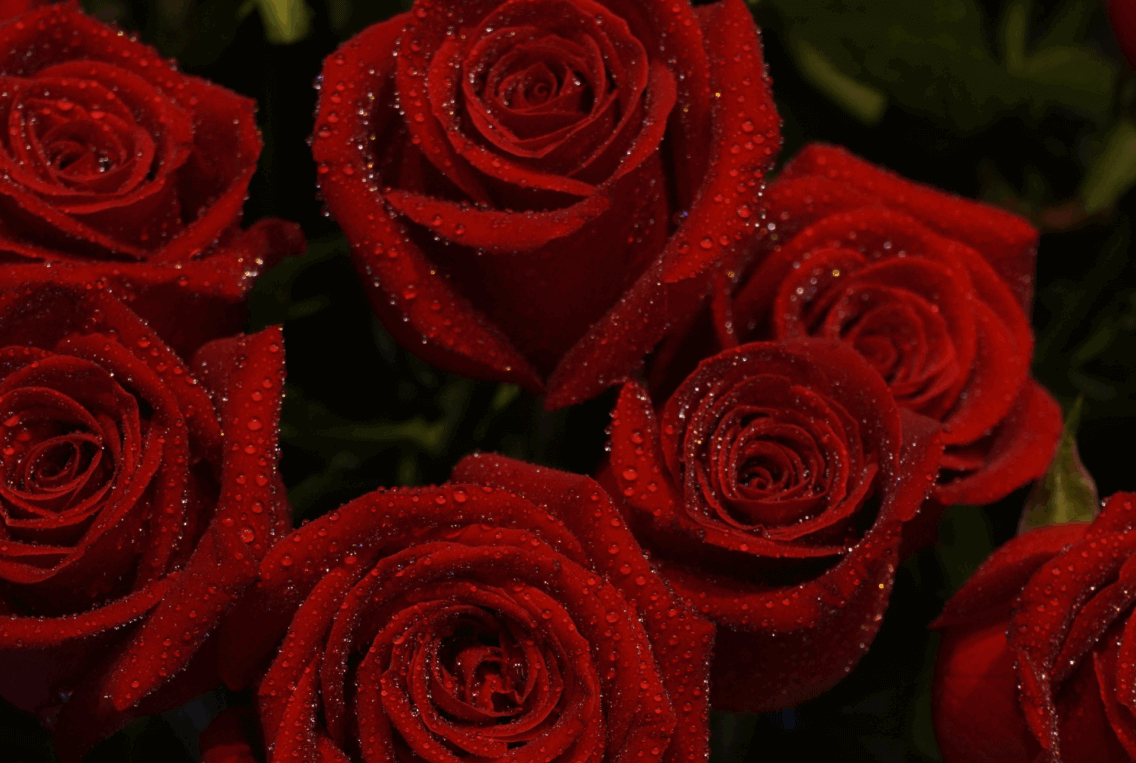 The Principle of Feminine Openness in Love and Union