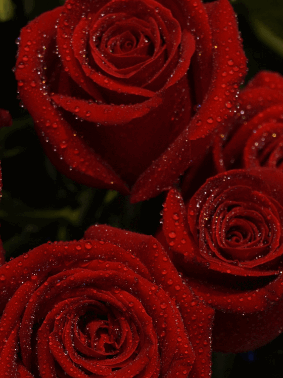 The Principle of Feminine Openness in Love and Union