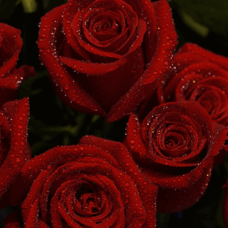 The Principle of Feminine Openness in Love and Union