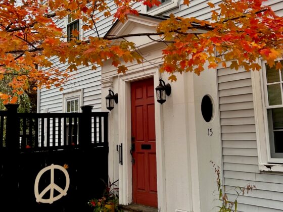 Land Redemption Report: Salem, the Town of True Magic