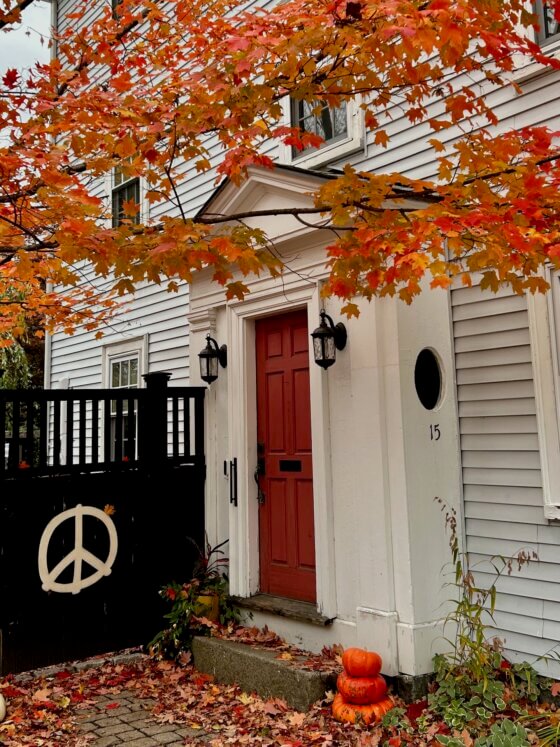 Land Redemption Report: Salem, the Town of True Magic