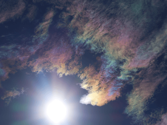 Going Above and Beyond Your Trials in the New Year