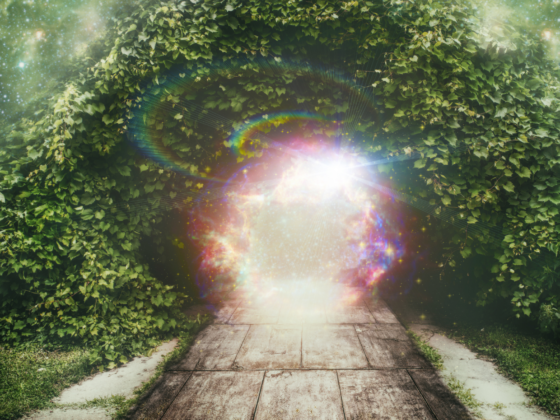 The Three Levels of Kingdom Life