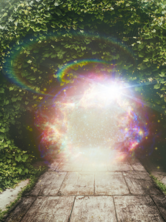 The Three Levels of Kingdom Life