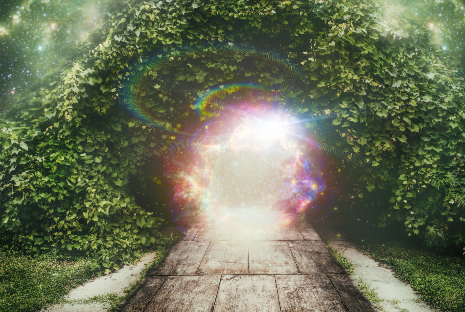 The Three Levels of Kingdom Life