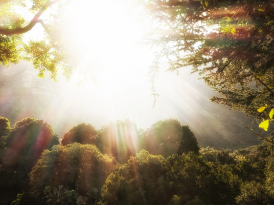 Prophetic Word: The New Era of Accelerated Land Redemption