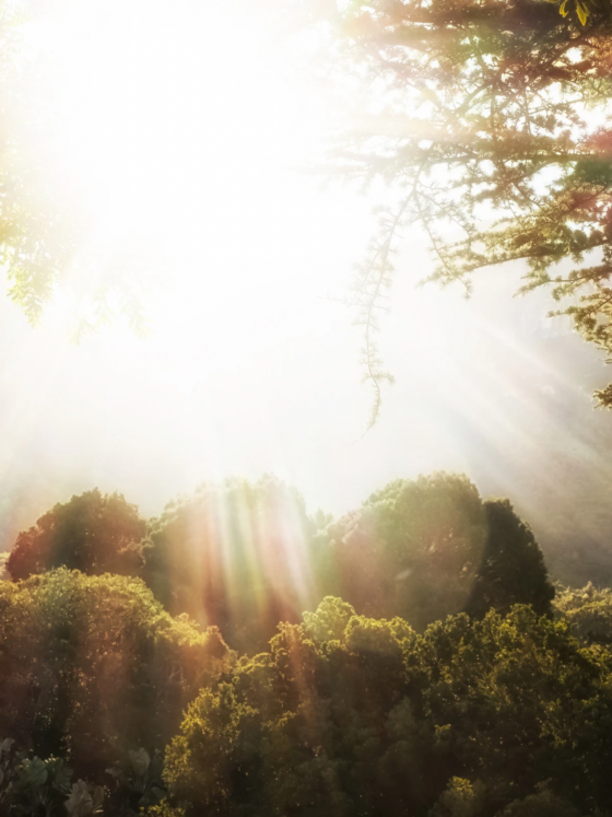 Prophetic Word: The New Era of Accelerated Land Redemption