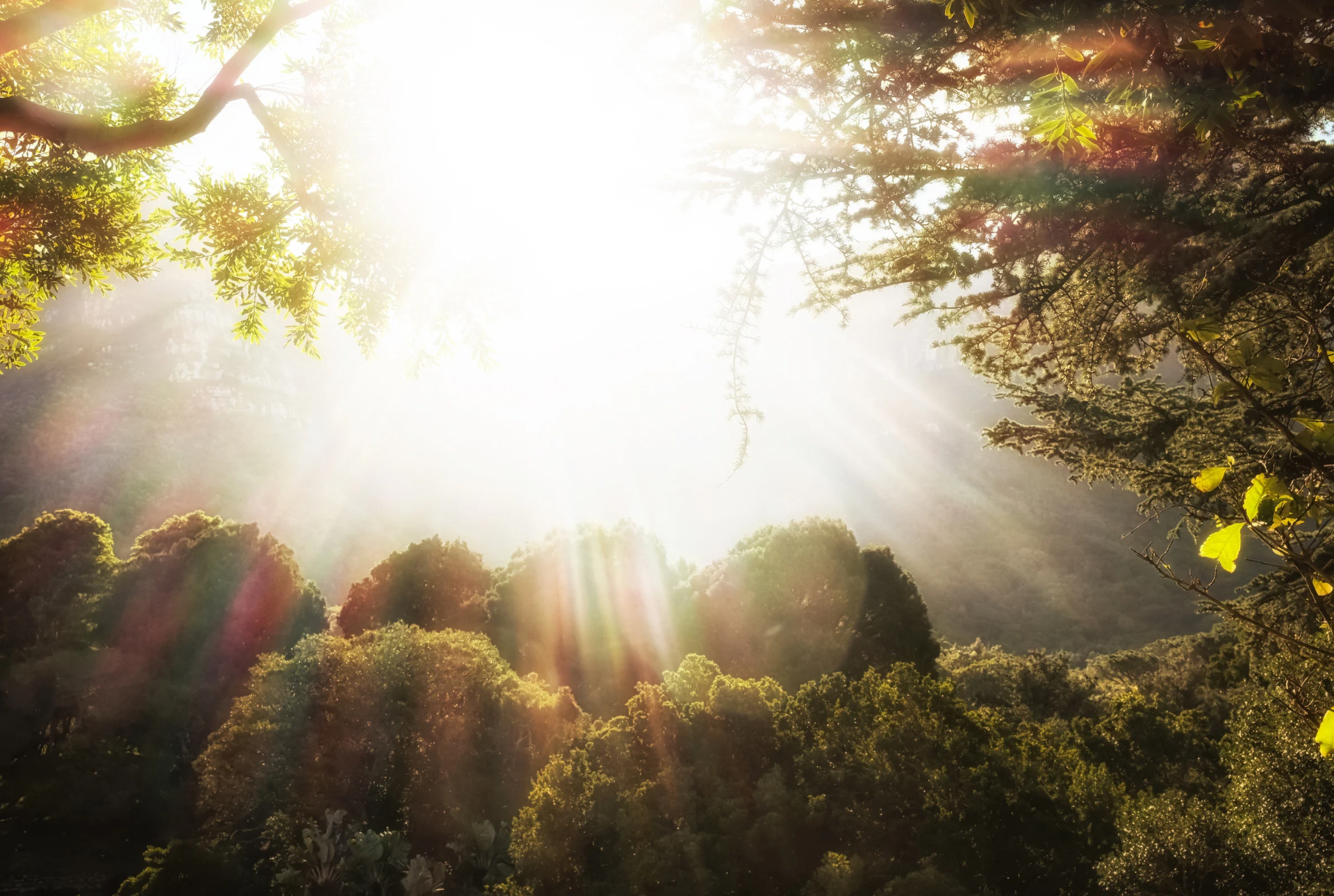 Prophetic Word: The New Era of Accelerated Land Redemption